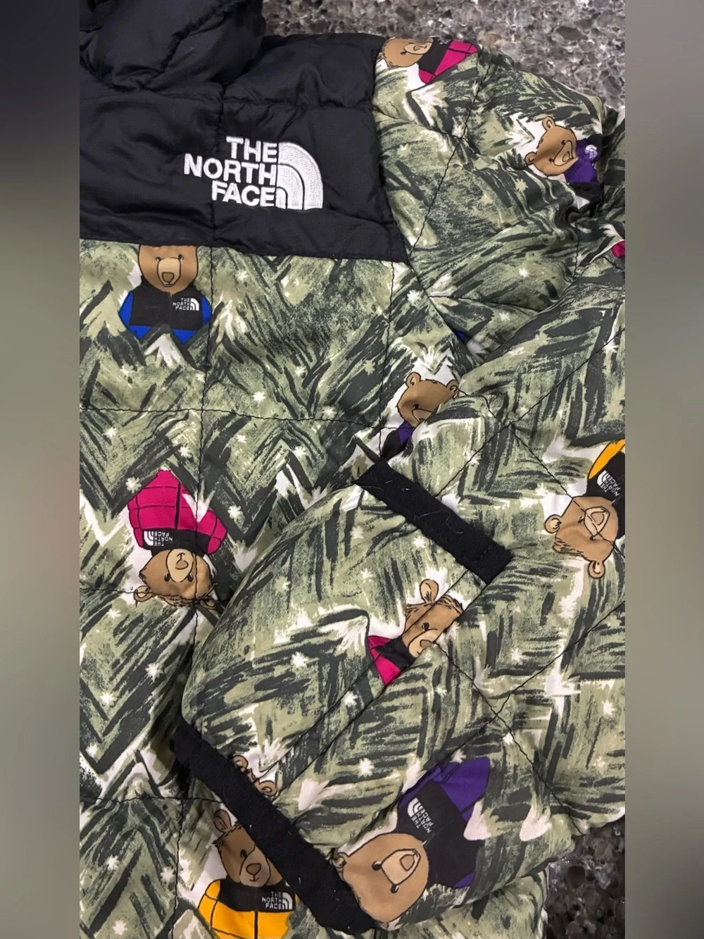 The North Face includes north